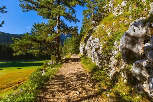 Black Lake (Crno Jezero) in Durmitor - Montenegro — Stock Photo, Image