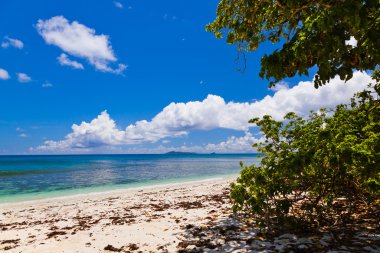 Seyşel Adaları, tropik sahil