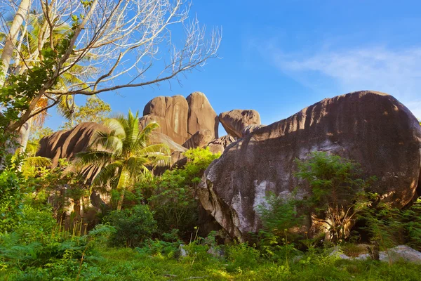 Tropical landscape at Seychelles — Stock Photo, Image