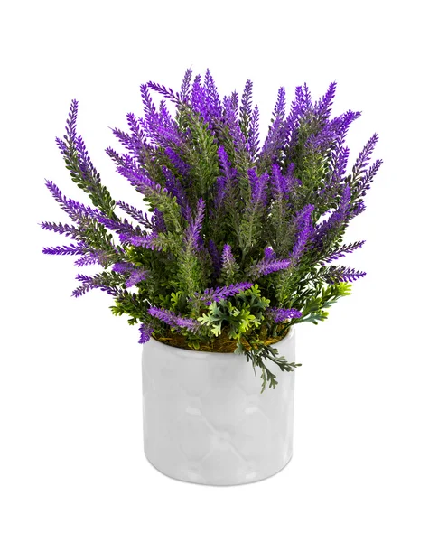 Lavendel in vase — Stockfoto
