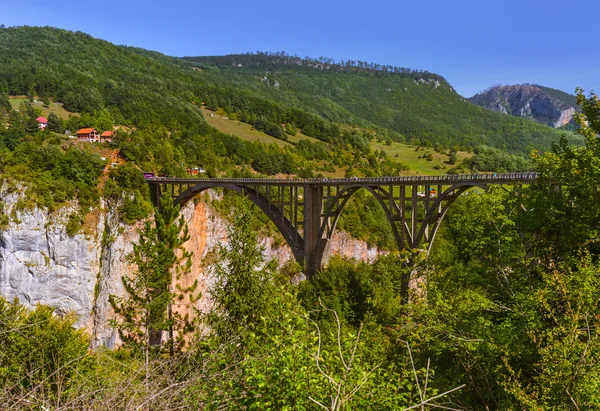 Brug Durdevica in de Tara River canyon - Montenegro — Stockfoto