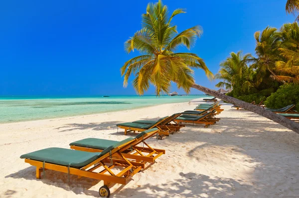 Maldiven strand - natuur vakantie achtergrond — Stockfoto