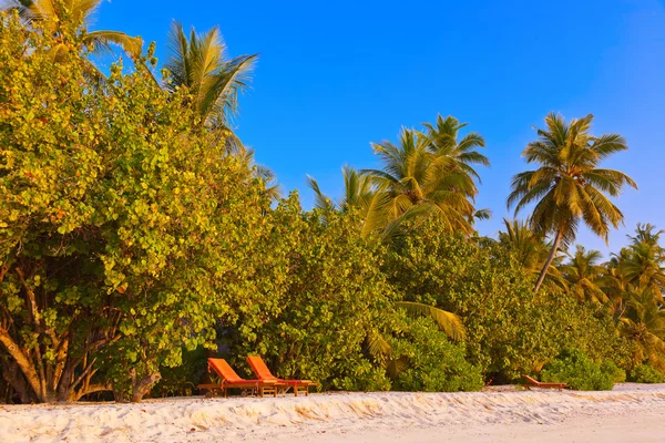 Tropical Maldives island — Stock Photo, Image