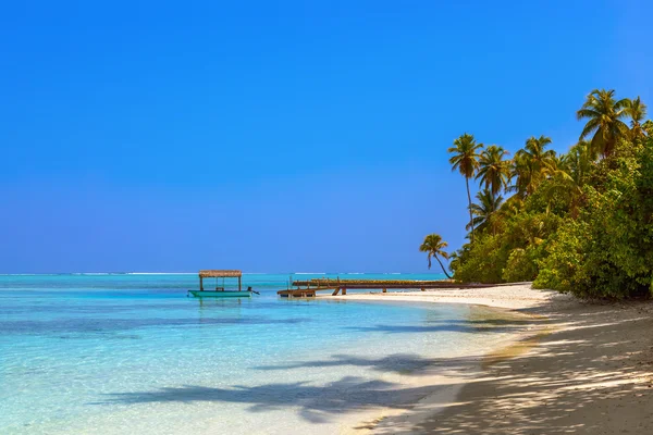 Isla de las Maldivas tropicales — Foto de Stock