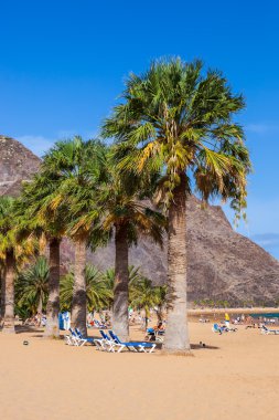 plaj teresitas Tenerife - Kanarya Adaları
