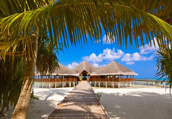 Cafe on tropical Maldives island — Stock Photo, Image