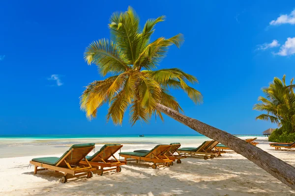 Sunbed on Maldives beach — Stock Photo, Image