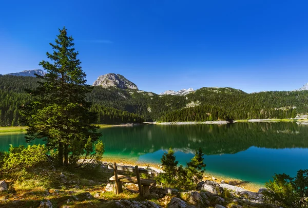 Чорний озера (Crno Jezero) в Дурмітор - Чорногорія — стокове фото