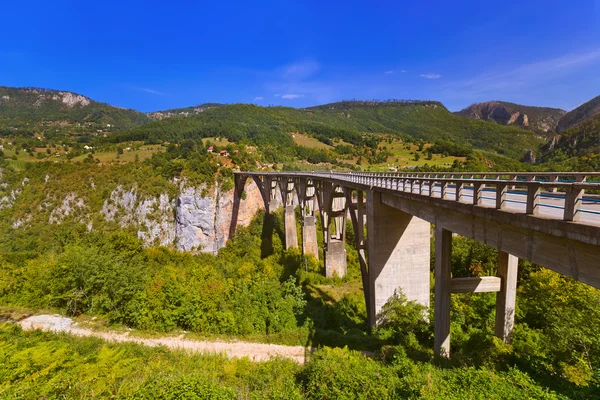 Brug Durdevica in de Tara River canyon - Montenegro — Stockfoto