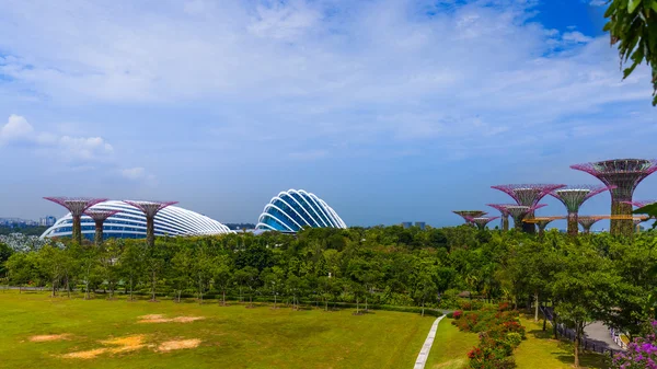 Park Gardens by the Bay - Cingapura — Fotografia de Stock