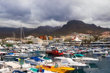 Tenerife adasında - Kanarya bağlantı noktası