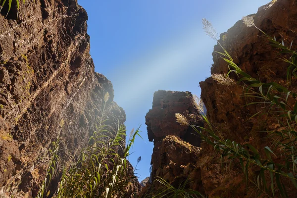 Beroemde canyon masca in tenerife - Canarische — Stockfoto