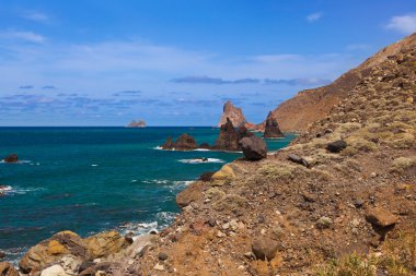 Tenerife adasındaki sahil - Kanarya İspanya