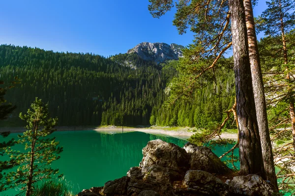 Black Lake (Crno Jezero) in Durmitor - Montenegro — Stockfoto
