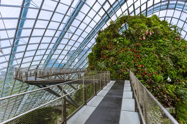 Cloud Forest Dome em Jardins perto da Baía em Singapura — Fotografia de Stock