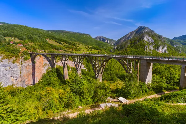 Brug Durdevica in de Tara River canyon - Montenegro — Stockfoto