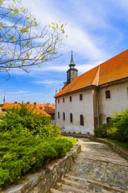 Novi Sad - Sırbistan eski şehirde