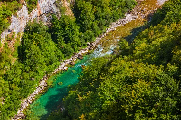 River Tara canyon - Montenegro — Stock Photo, Image