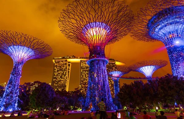 Park Gardens by the Bay - Singapur —  Fotos de Stock