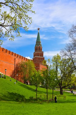 Kremlin - Moskova Rusya bahçede Alexandrovsky