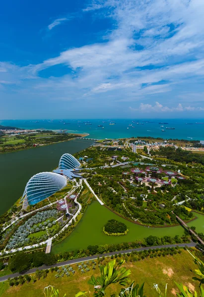 Park Gardens by the Bay - Singapour — Photo