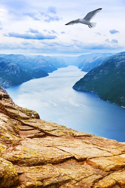 Cliff Preikestolen in fjord Lysefjord - Noorwegen — Stockfoto