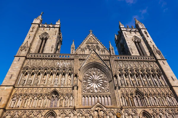 Münster in Nordrhein-Westfalen — Stockfoto