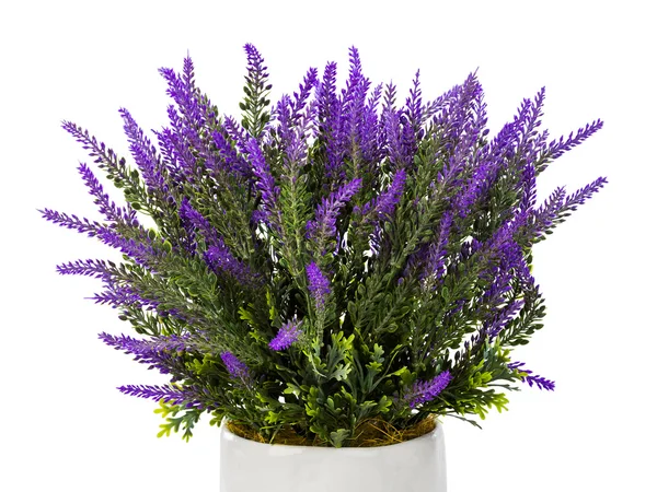 Lavendel in vase — Stockfoto