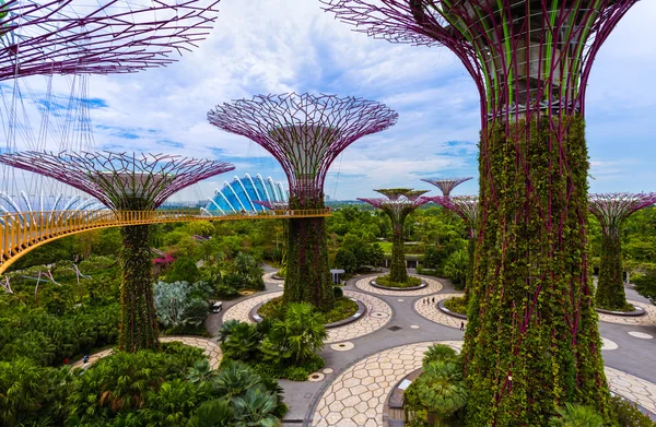 Park Gardens by the Bay - Singapur — Foto de Stock