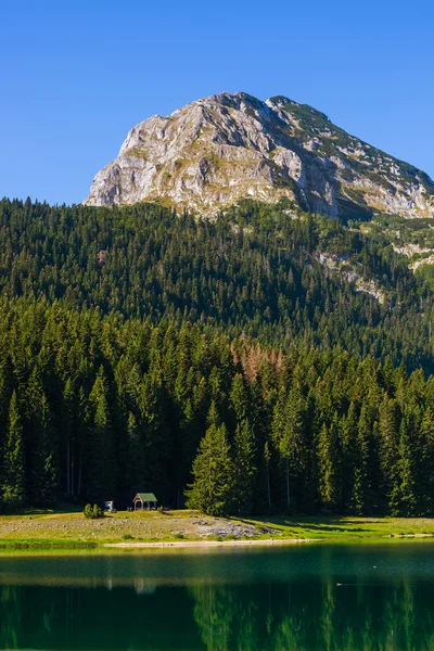 Чорний озера (Crno Jezero) в Дурмітор - Чорногорія — стокове фото