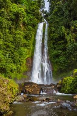 Gitgit şelale - Bali Adası Endonezya