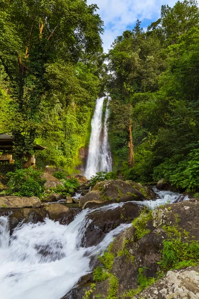 Gitgit Waterfall - Bali island Indonesia — Stock Photo, Image