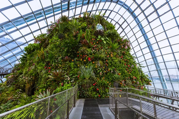 Cloud Forest Dome em Jardins perto da Baía em Singapura — Fotografia de Stock