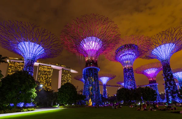 Park Gardens by the Bay - Singapur — Foto de Stock