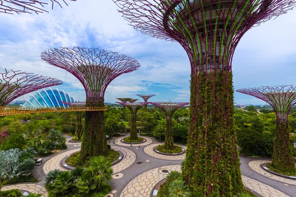 Park Gardens by the Bay - Cingapura — Fotografia de Stock