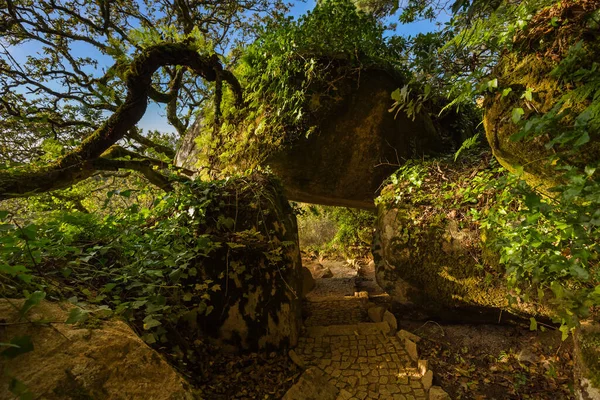 Parco Vicino Palazzo Pena Sintra Portogallo Sfondo Naturale — Foto Stock