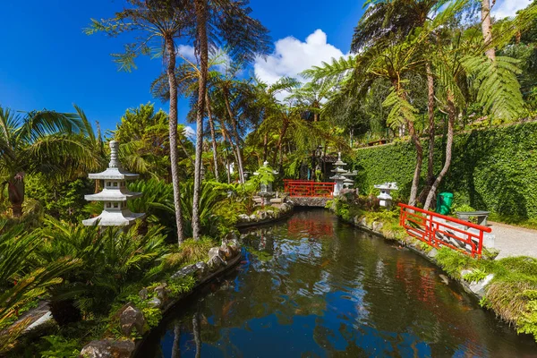Jardim Tropical Monte Madeira Portugal Fundo Viagem — Fotografia de Stock