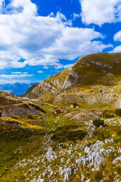 Parc National Des Montagnes Durmitor Monténégro Arrière Plan Voyage Nature — Photo