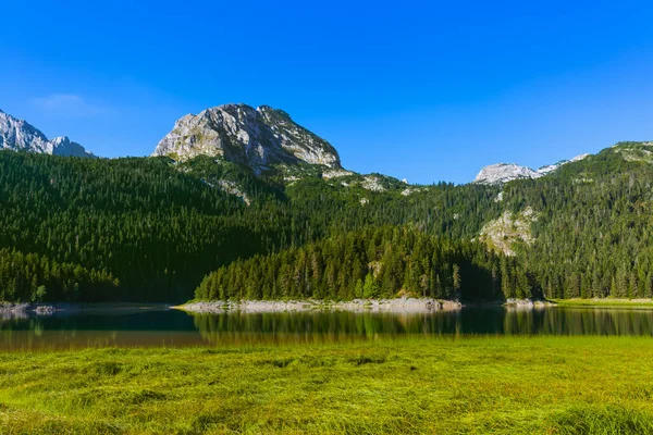 Lago Negro Crno Jezero Durmitor Montenegro Fondo Viaje Naturaleza — Foto de Stock
