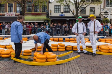 Alkmaar, Hollanda - 28 Nisan 2017: Geleneksel peynir pazarında peynir taşıyıcıları.