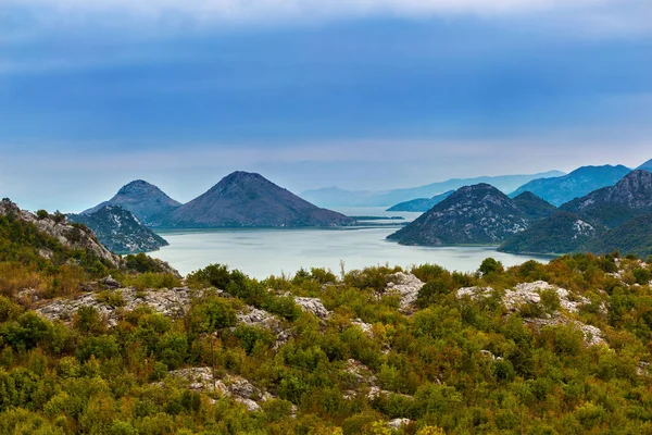 Skadarské Jezero Černá Hora Přírodní Zázemí — Stock fotografie
