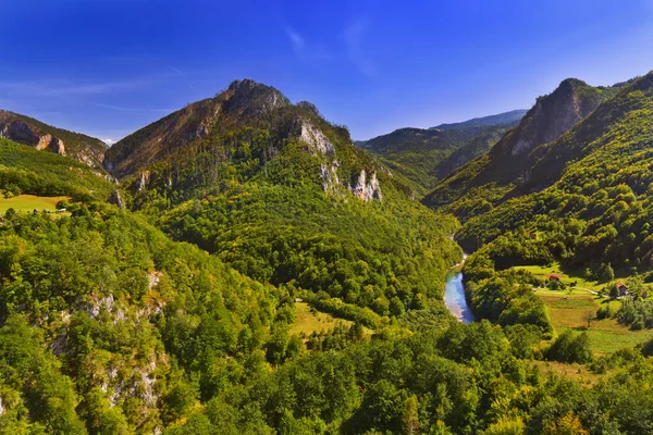 Cañón Del Río Tara Montenegro Fondo Viaje Naturaleza —  Fotos de Stock