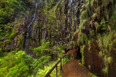 Madeira Portekiz 'de Risco Levada - seyahat geçmişi