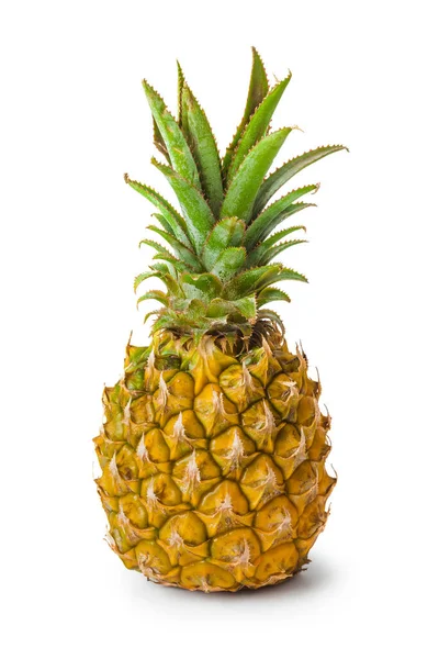 Rijp Ananas Geïsoleerd Witte Achtergrond — Stockfoto