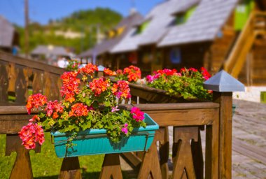 Sırbistan 'ın geleneksel köyü Drvengrad Mecavnik - mimari seyahat geçmişi