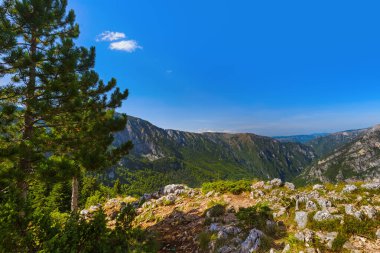 River Tara Kanyonu - Karadağ - doğa yolculuğu geçmişi