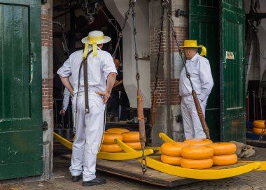 Alkmaar, Hollanda - 28 Nisan 2017: Geleneksel peynir pazarında peynir taşıyıcıları.
