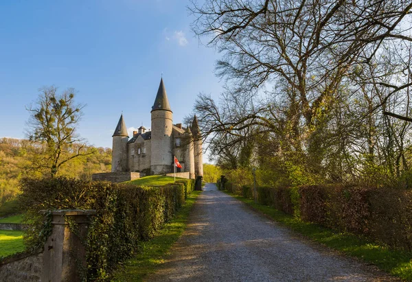 Zamek Veves Belgii Tło Architektury — Zdjęcie stockowe