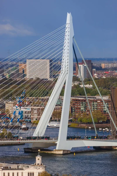 Rotterdam Cityscape Netherlands Architecture Background — Stock Photo, Image
