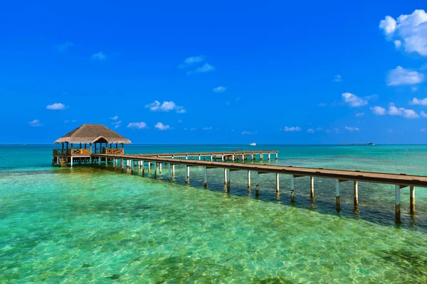 马尔代夫热带岛屿上的Jetty 自然旅行背景 — 图库照片